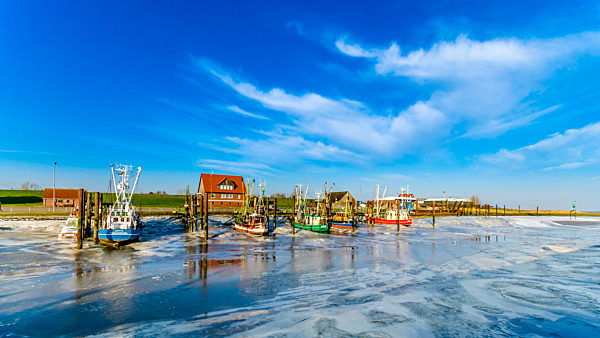 Germany, Lower Saxony, Butjadingen, Fedderwardersiel, harbour, fishing boats in winter