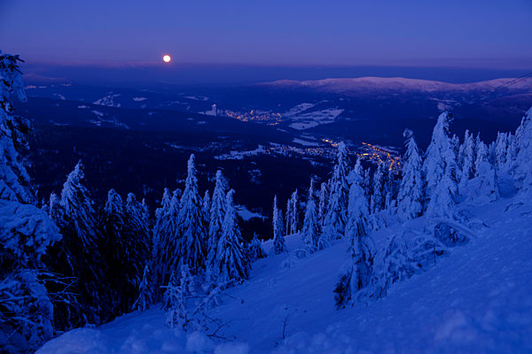 Germany, Bavaria, Bavarian Forest in winter, Great Arber, Arbermandl, snow-capped spruces at dusk with moon