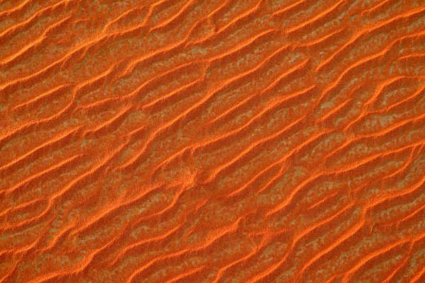 United Arab Emirates, Rub' al Khali, desert sand and ripple marks