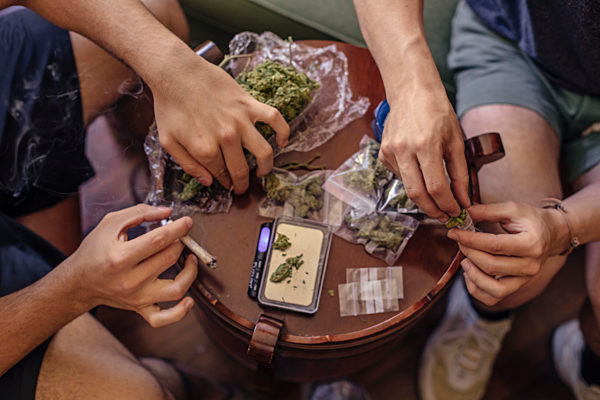 Close-up of two men cleaning marijuana