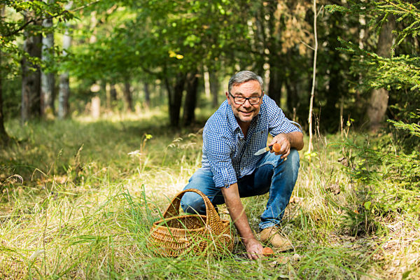 Mature man collecting mushroom in forest