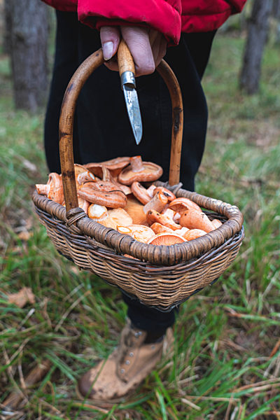 Young woman with basket of mushrooms and knife in forest during autumn