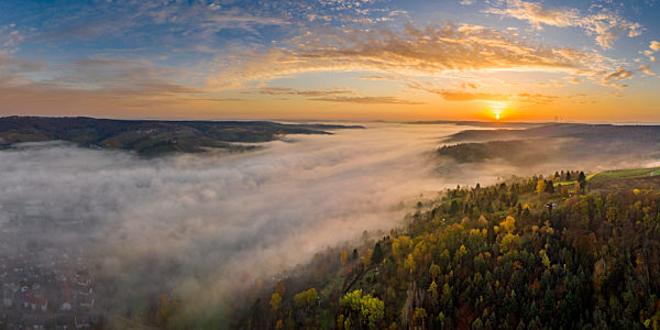 Drone view of autumn forest shrouded in thick fog at sunrise
