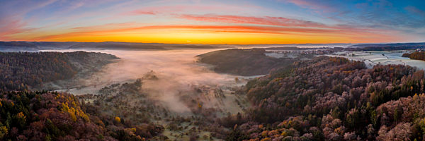 Drone view of autumn forest shrouded in morning fog