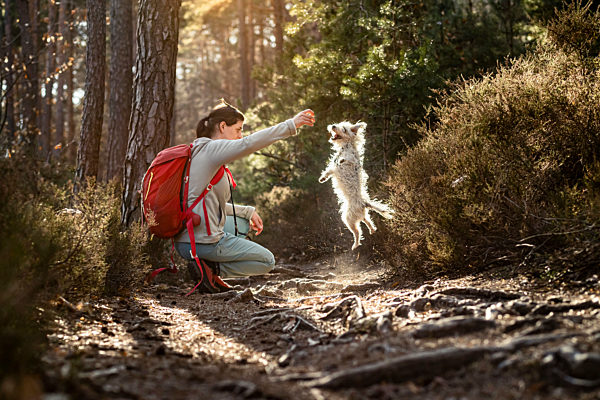 Female hiker playing with dog while crouching on Palatinate forest at Palatinate, Germany