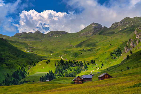 Scenic view of Odle mountain range in summer