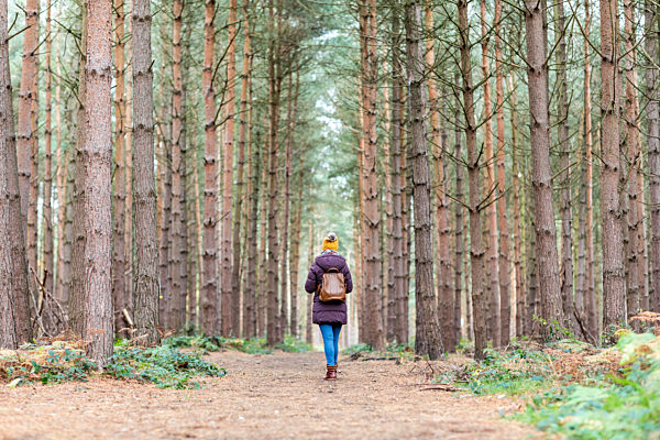 Woman with backpack amidst trees in forest