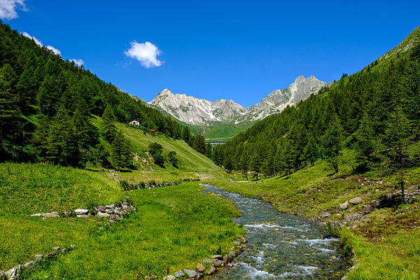 Italy, Aosta Valley, Saint-Rhemy-en-Bosses, Stream in Valle Del Gran San Bernardo