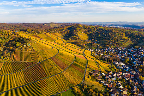Germany, Baden Wurttemberg, Stuttgart, Aerial view of vineyards in autumn