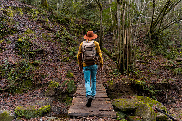 Mid adult man walking on footbridge in forest