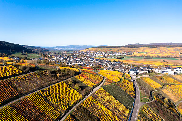 Germany, Rhineland-Palatinate, Helicopter view of countryside village and surrounding vineyards in autumn
