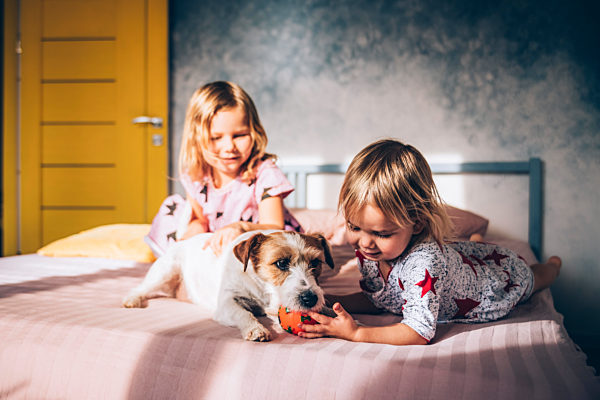 Sisters stroking dog in bedroom