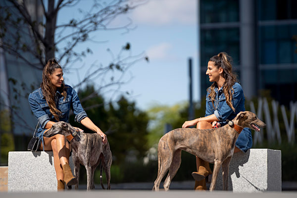 Sisters with dogs sitting on bench