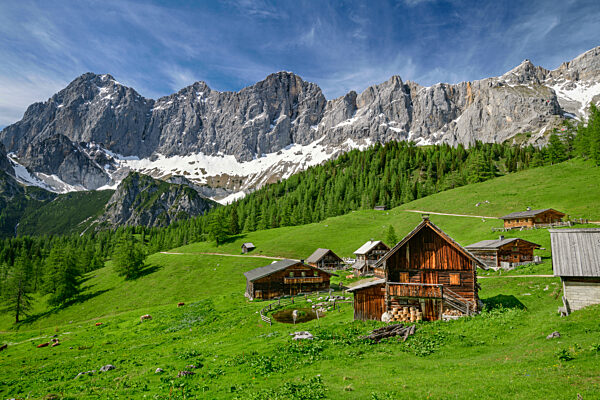Neustattalm huts on agricultural field at Styria, Austria