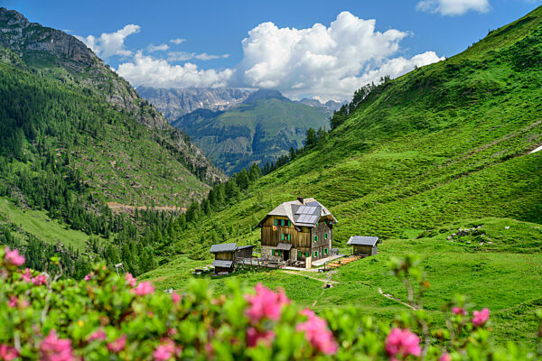 Mountain cabin on field at Carinthia, Austria