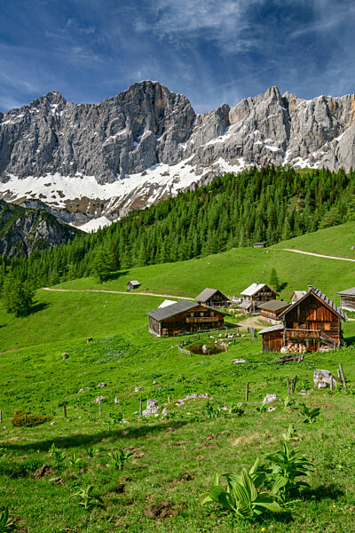 Neustattalm huts on green grass at Styria, Austria
