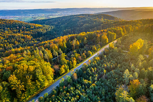Road amidst autumn trees in Swabian-Franconian Forest, Germany