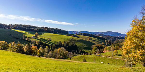 Panorama of Black Forest range in autumn