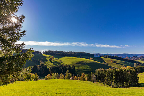 View of green autumn hills in Black Forest range