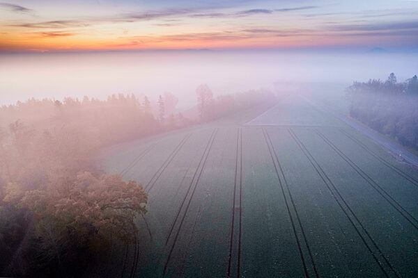 Drone view of countryside field shrouded in morning fog