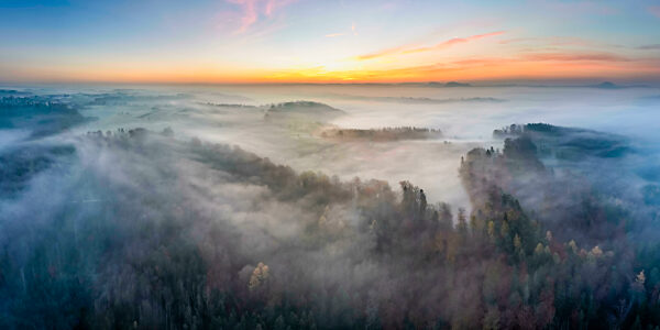 Drone view of Welzheim Forest shrouded in morning fog