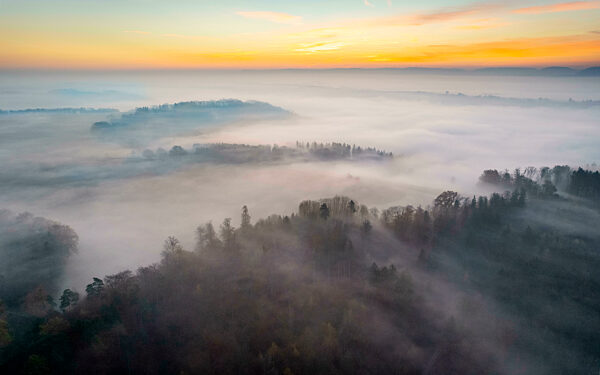 Drone view of Welzheim Forest shrouded in morning fog