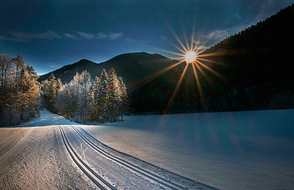 Idyllic view of winter forest at sunrise