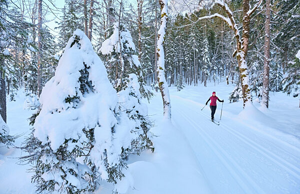 Active senior woman skiing by trees on snow