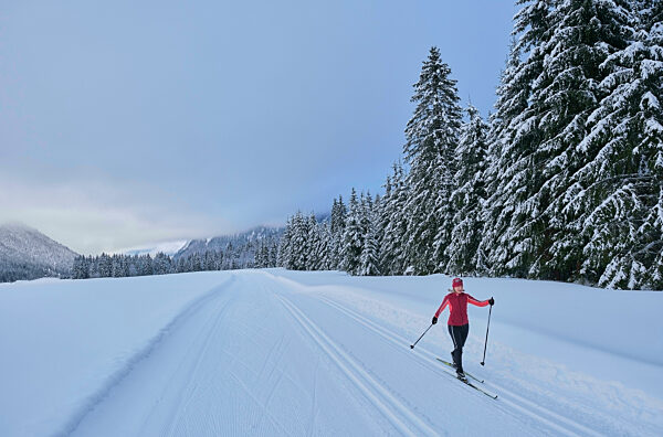 Active senior woman skiing in winter forest