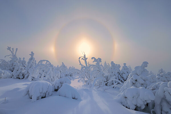 Halo created by sun rising over snow covered landscape in Ore Mountains