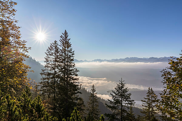 Germany, Bavaria, Summer sun shining over thick fog floating over Lake Walchen in Bavarian Prealps