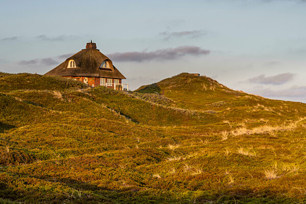 Germany, Schleswig-Holstein, Hornum, Secluded house surrounded by grassy dunes at dusk