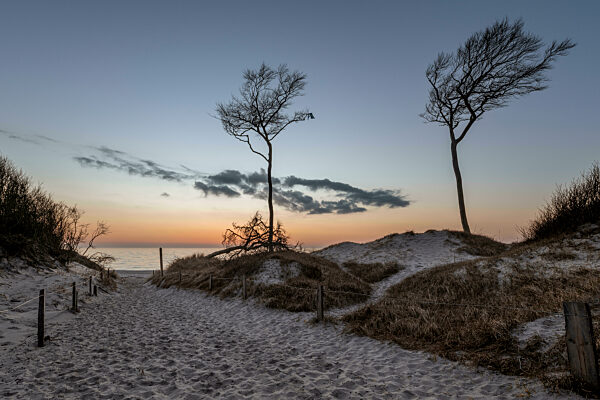 Germany, Mecklenburg-Western Pomerania, Sand dunes of Fischland-Darss-Zingst peninsula at dusk
