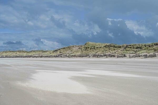 Germany, Lower Saxony, Juist, Empty beach in summer with dunes in background