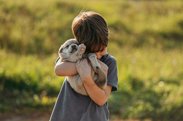 Boy embracing cute mixed breed puppy at meadow
