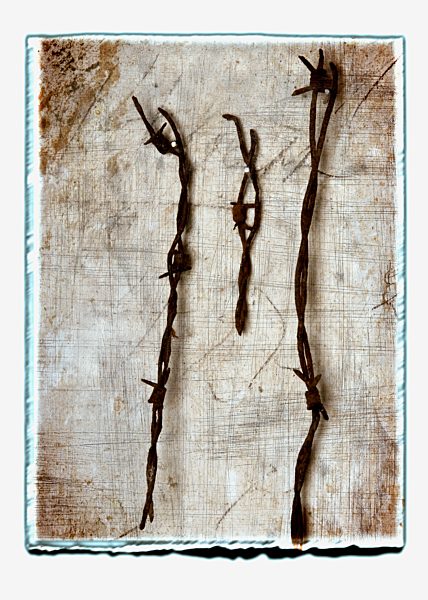 Collage of old rusty barbed wire