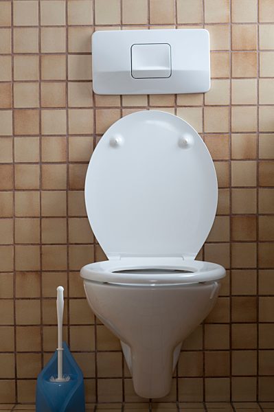 Germany, Interior of toilet with toilet brush