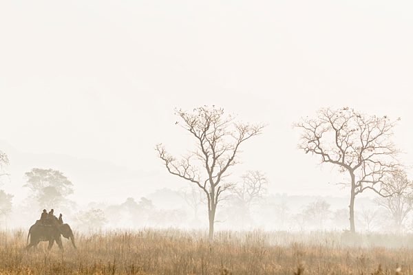 India, Uttarakhand, Mahout with tourists at Jim Corbett National Park