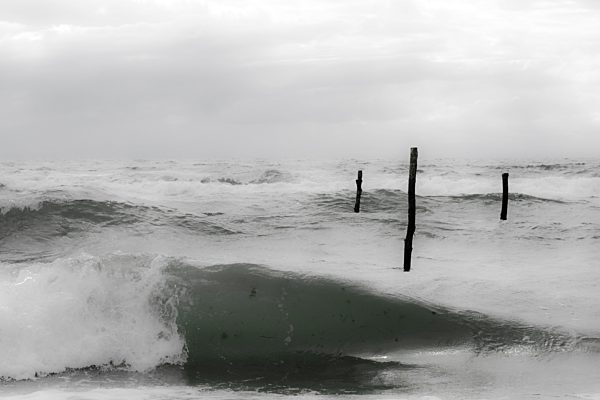 Denmark, Wooden posts in North sea