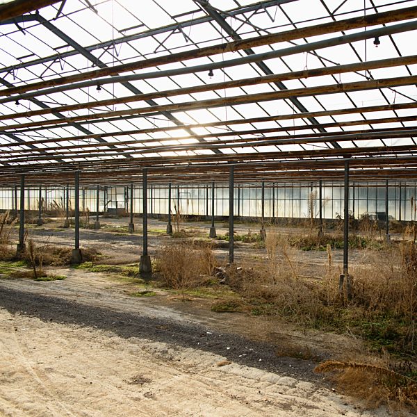 Germany, Borschemich, Greenhouse out of function