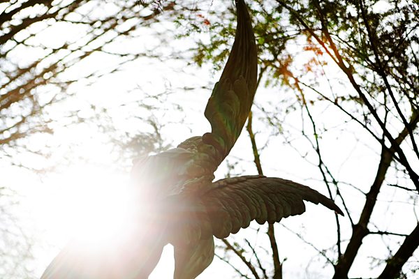Germany, Cologne, Angel statue in graveyard