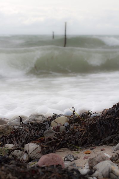 Denmark, Wooden posts in North sea