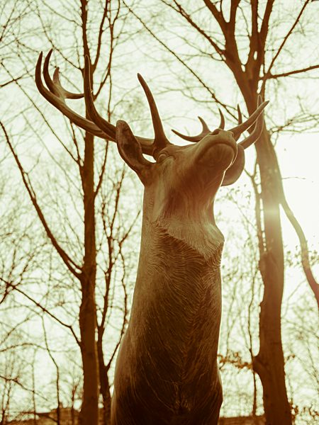 Germany, Munich,Statue of deer at Bavariapark