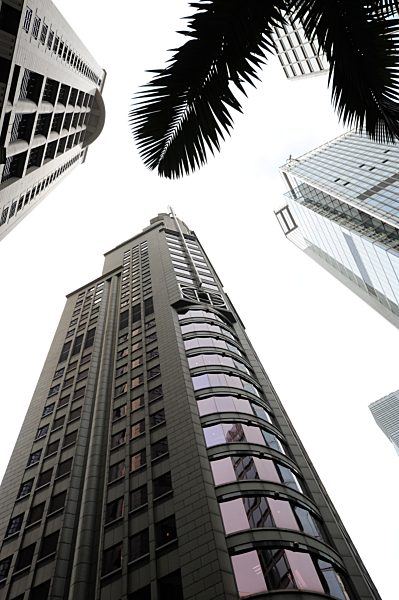 China, Hong Kong, Palm tree and office buildings at Queens Road