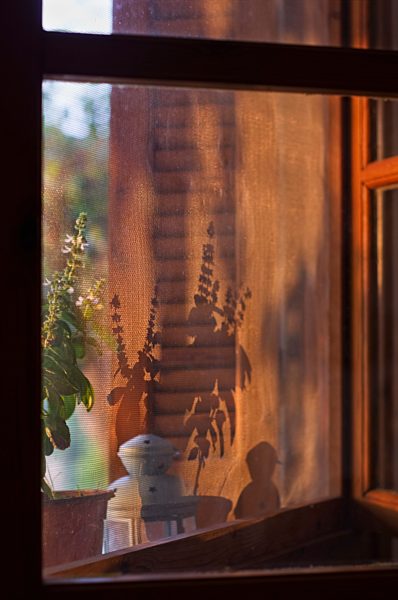 Greece, Ionian Islands, Ithaca, View of window with fly screen