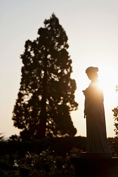 Germany, View of statue in rose garden