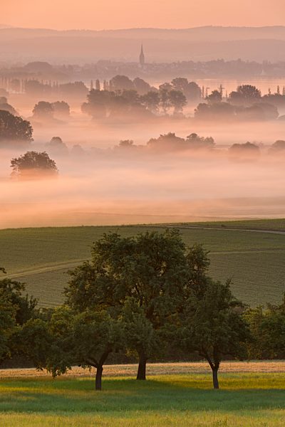 Germany, View of Radolfzell during fog