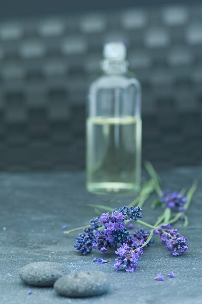 Lavender oil in a glass bottle, twigs of lavender and grey pebbles