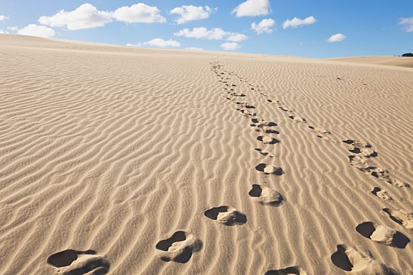 New Zealand, Footprints on Te Paki Sand Dunes