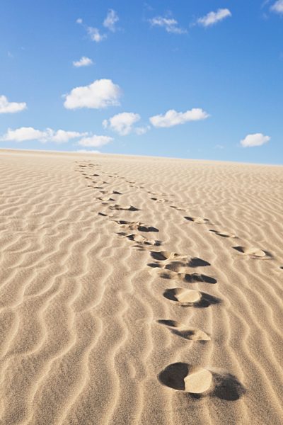 New Zealand, Footprints on Te Paki Sand Dunes